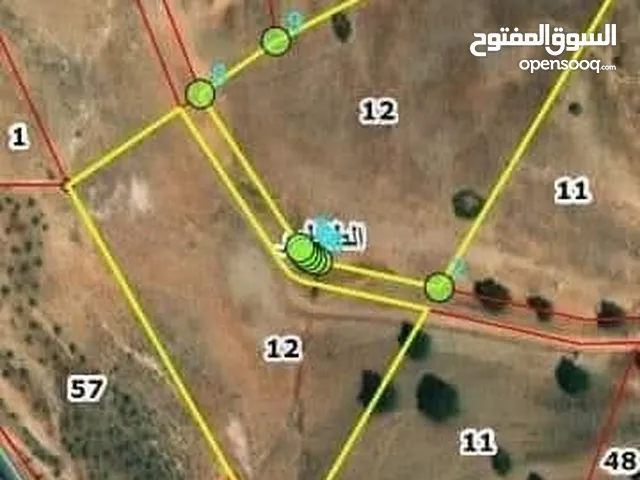 ارض للبيع بسعر مغري جداً جداً جداً