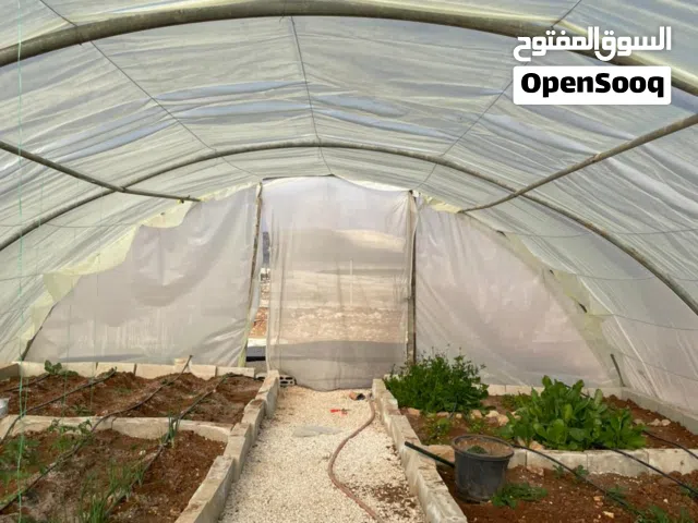 فرصة ممتازة – بيت بلاستيكي للبيع