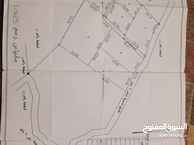 أرض الموقع طلوزه