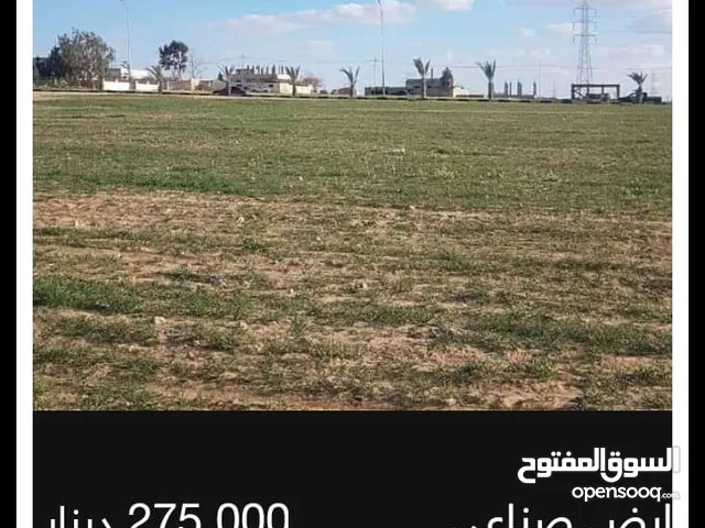 ارض للبيع في البصه غرب عمان