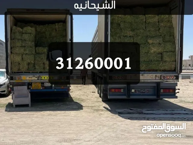 برسيم سوداني للبيع