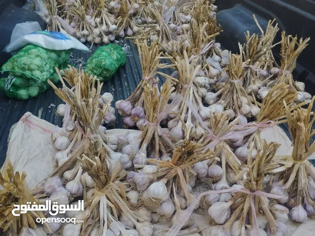 ثوم عماني الربطه 3 ريال