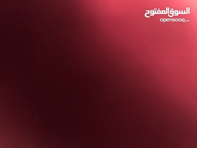 مطلوب ارانب بري