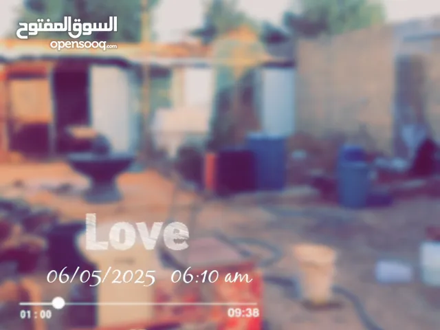 سوني 2 مع اسلاكه واليدين