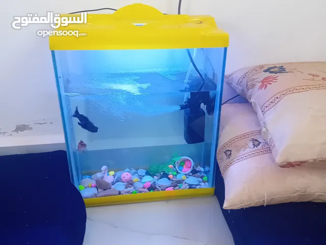 حوض سمك للبيع