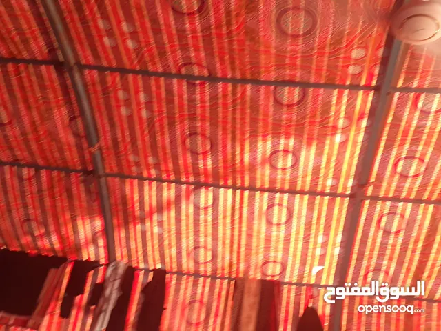 حديد موكب 20×6