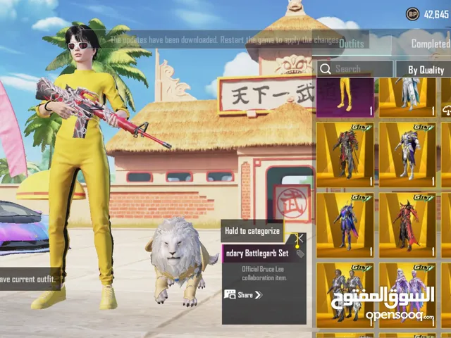 Pubg account