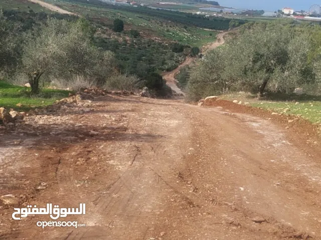 Mixed Use Land for Sale in Jenin American University