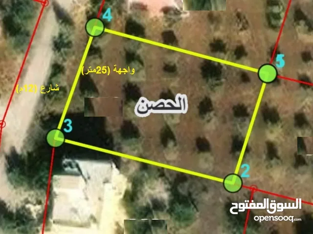 Residential Land for Sale in Irbid Al Husn