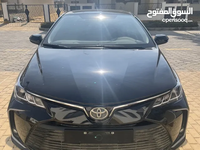 Toyota Corolla in Cairo