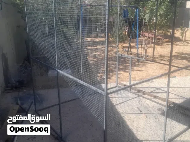 سزنة طيور حاجة منظمة وقوية