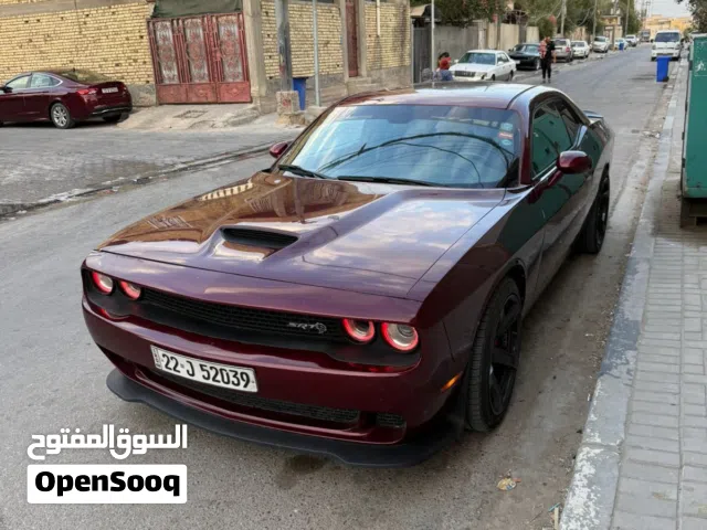 جالنجر 2018 سكات باك