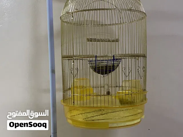 قفص لونه ذهبي