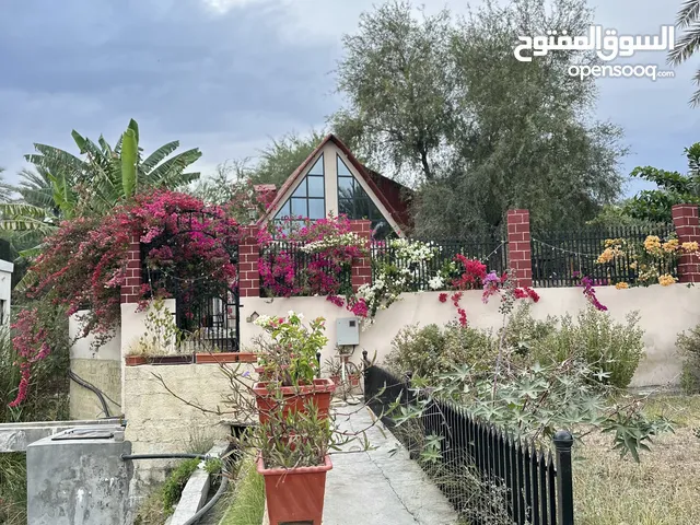 كوخ الغافة كوخ ريفي قريب من نزوى بأطلالتها الجميلة وموسمها الرائع فأهلا بكم في كوخ الغافة