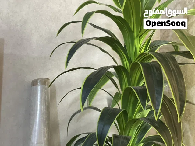 ورق جدران ايطالي