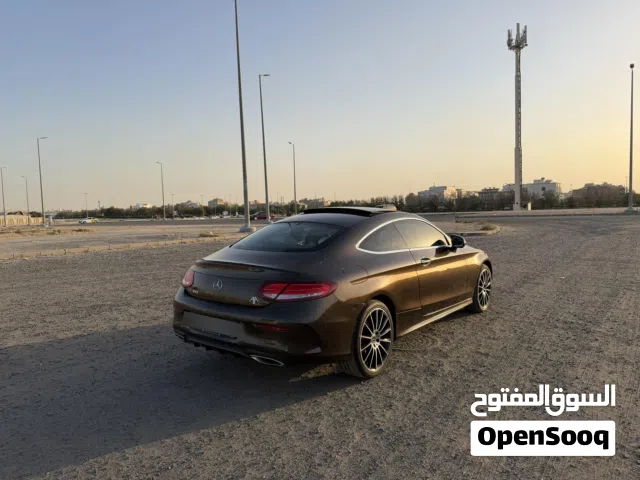 2017 Mercedes Benz C-Class C 300