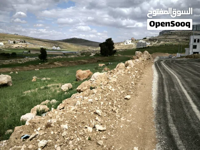 رقم العقار (295) قطعة أرض 500 م للبيع في شفا بدران المقرن تغطيها قطعة عن شارع الأربعين