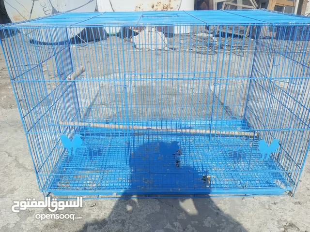 قفاصه طيور للبيع او مراوس اقافاصه مابيهن اي كسر او شك