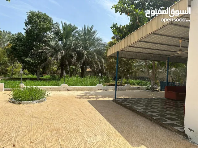 1 Bedroom Farms for Sale in Muscat Quriyat