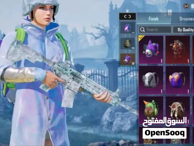 Pubg Accounts and Characters for Sale in Western Mountain