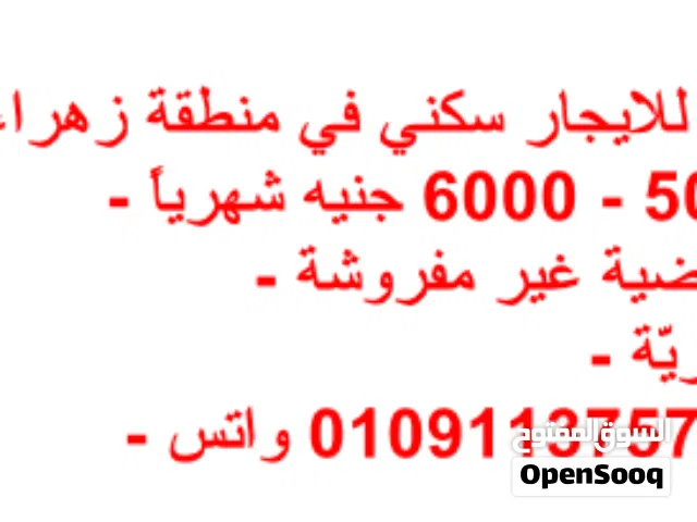 100 m2 2 Bedrooms Apartments for Rent in Cairo Nasr City
