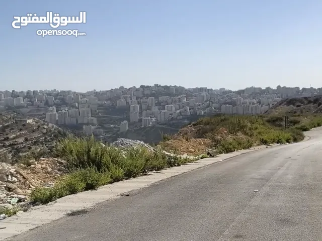 دنم ارض للبيع