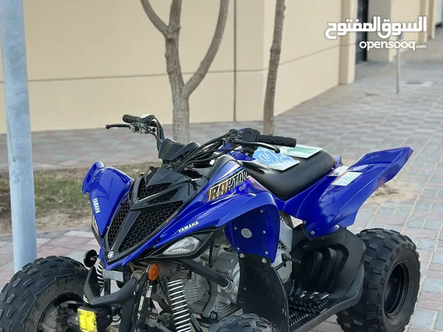Raptor 90cc