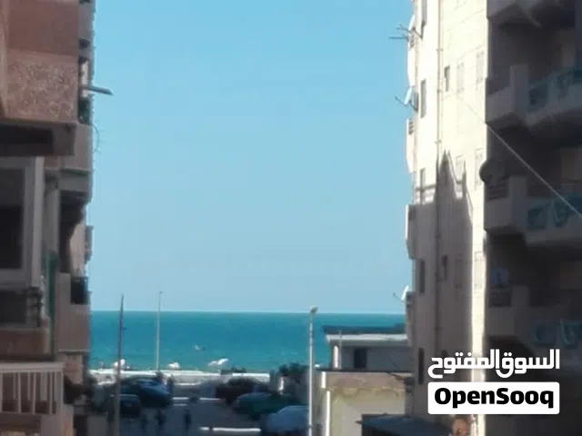 شقة للايجار اليومي بشاطئ النخيل