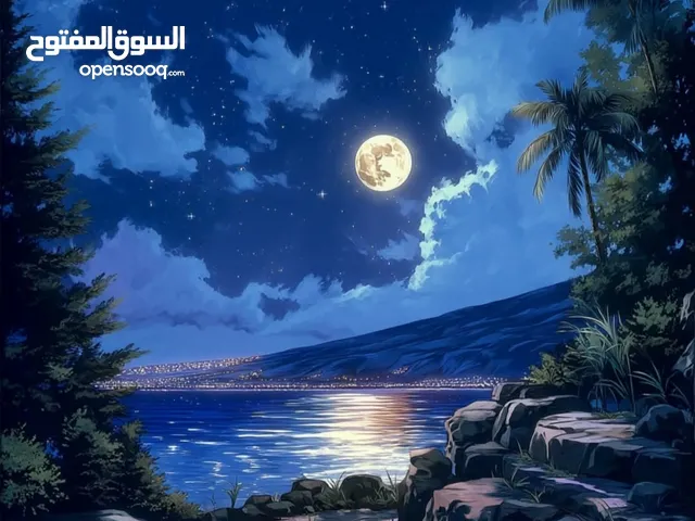 قطعة ارض للبيع حي المسك