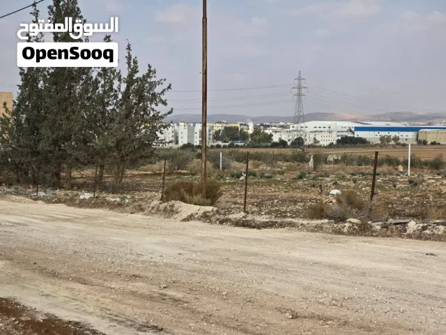 Residential Land for Sale in Ramtha Romtha