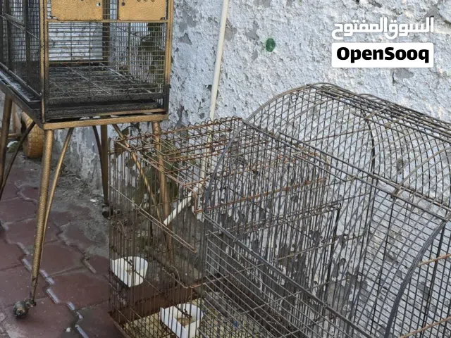 عدد3 اقفاص لطيور الزينه