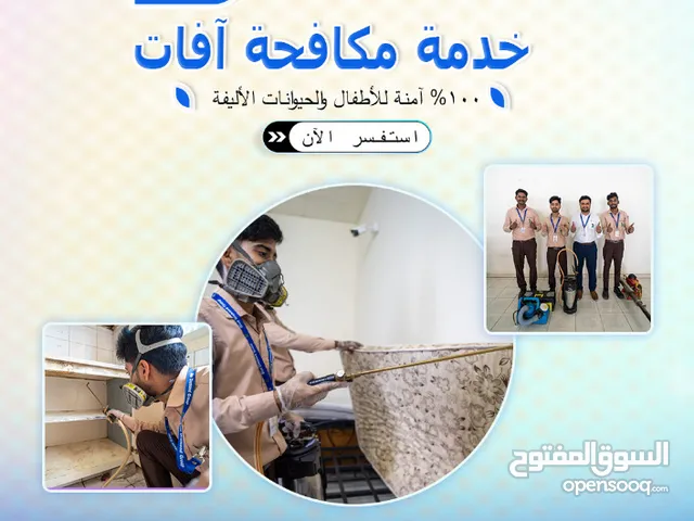 عندك حشرات منتشرة فالمطبخ أو المخزن؟ الوضع ما يطمن؟ شركة الألماس الأزرق موجودة