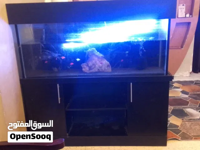 حوض  سمك .
