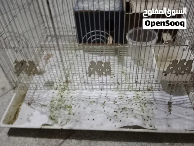 قفص ببغاء .