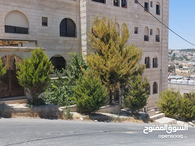 80 m2 3 Bedrooms Townhouse for Rent in Amman Swelieh