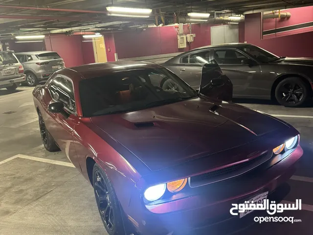 Used Dodge Challenger in Kuwait City