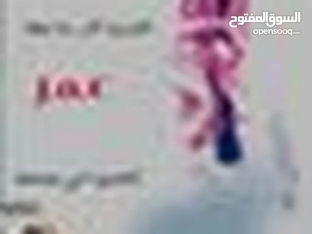 omar alqasem alqasem