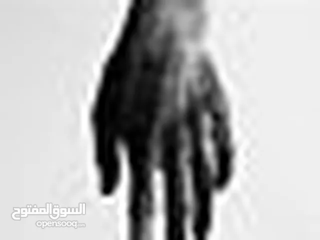 Mouath Mohamad