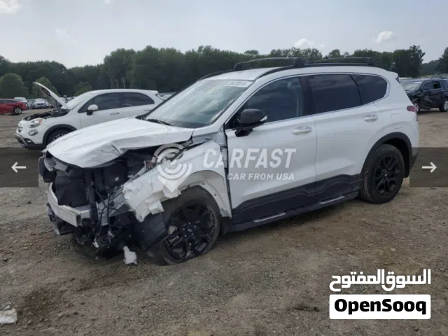 سنتافيا 2023 لون ابيض XRT اصفار