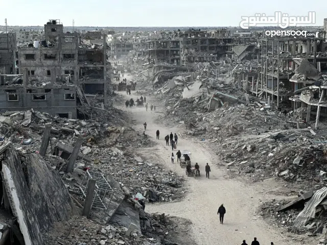 احمد علي محمد