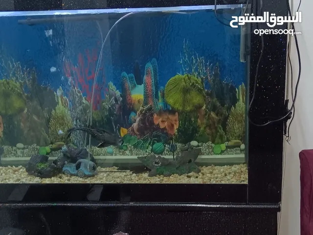 Aquarium Set
