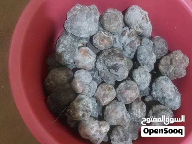 6 كيلو كمأ (فقع)