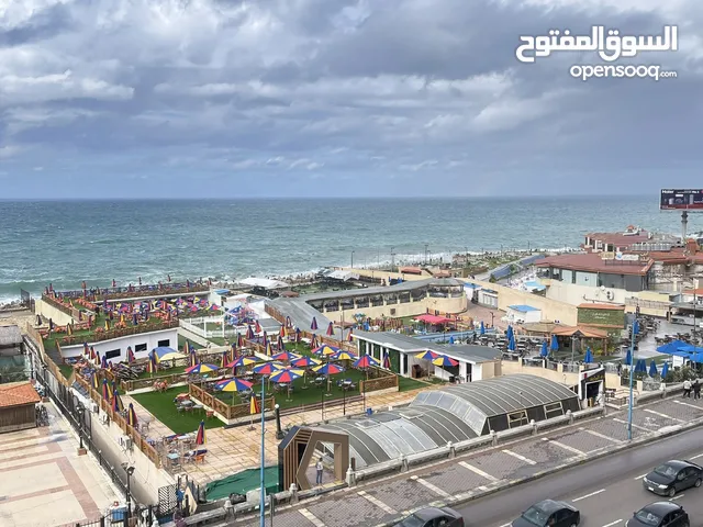 224 m2 3 Bedrooms Apartments for Sale in Alexandria Glim
