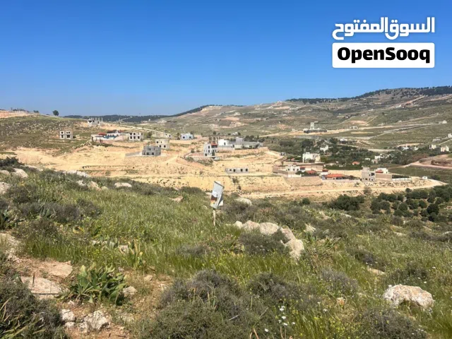 أرض للبيع في جرش بالقرب من مشروع روضة جرش السياحي وجامعة البلقاء الجديدة.