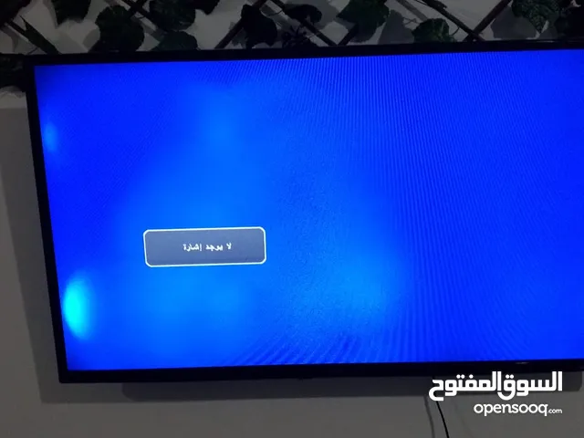    TV in Amman