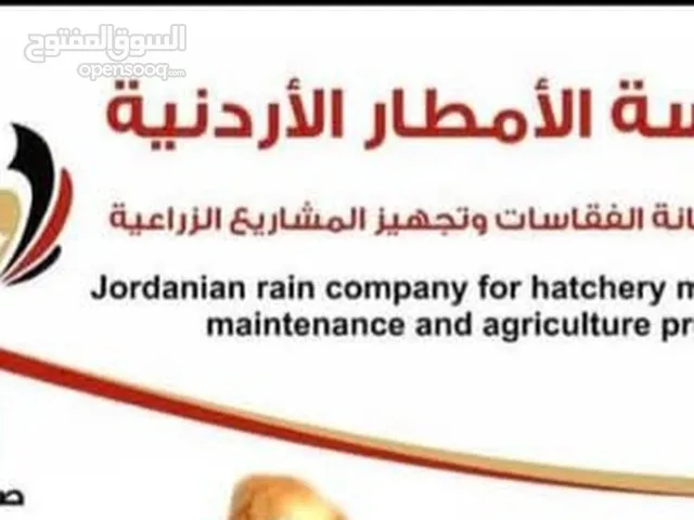 فقاسة بيض دجاج للبيع