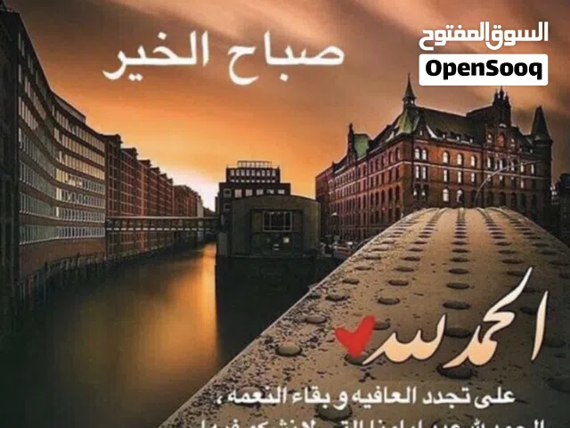 مطلوب دي كيني