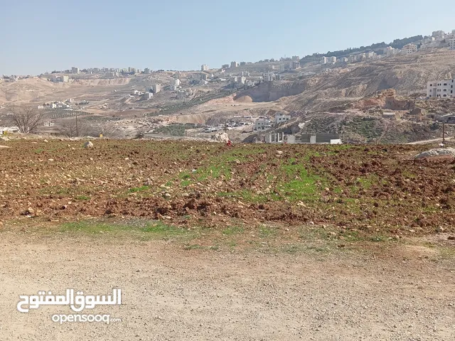 Residential Land for Sale in Amman Safut