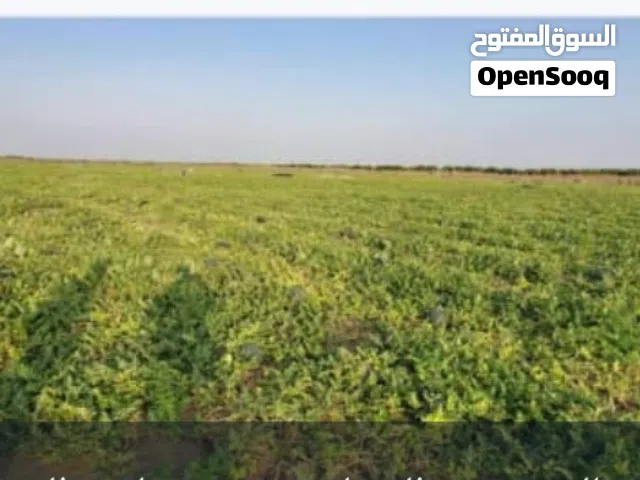 Farm Land for Sale in Al Hudaydah Other