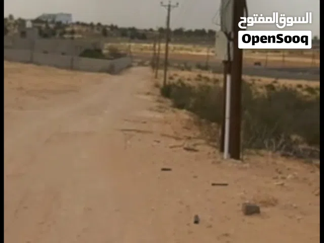 أرض زراعيه مساحتها 4300 القويعه الاوراق ملك مقدس